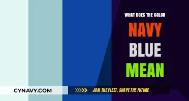 Decoding the Depths: What the Color Navy Blue Truly Means