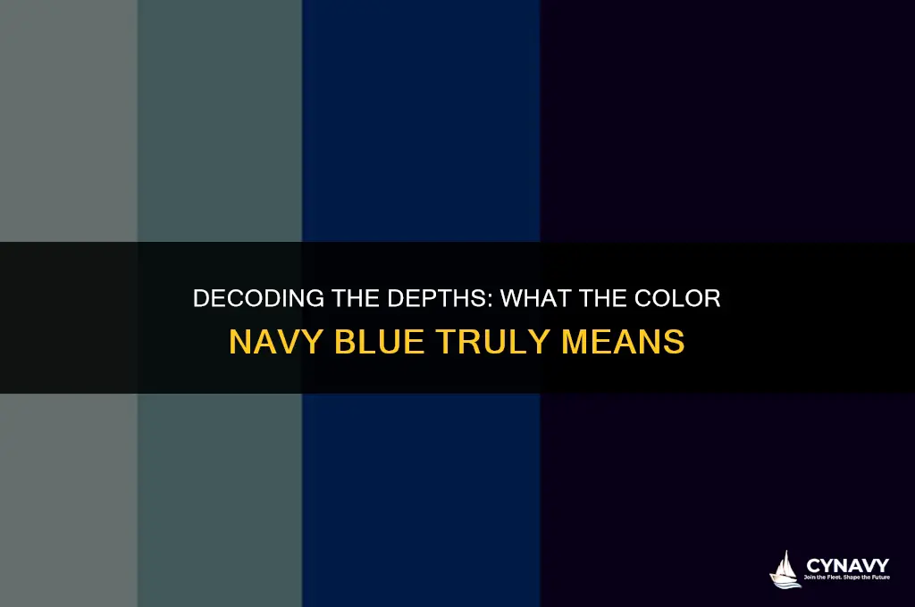 what does the color navy blue mean