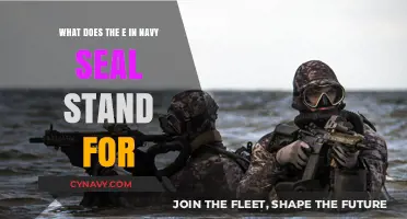 Unveiling the Mystery: What Does the 'E' in Navy SEAL Stand For?