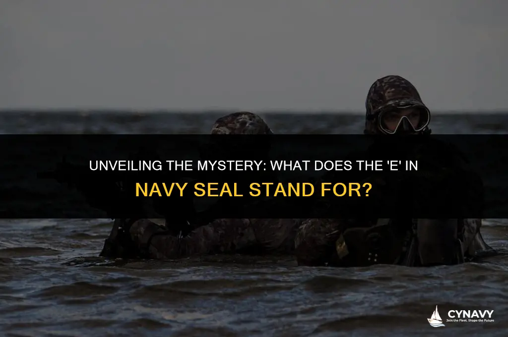 what does the e in navy seal stand for