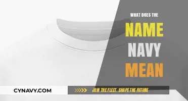 Exploring the Origins and Significance of the Name 'Navy