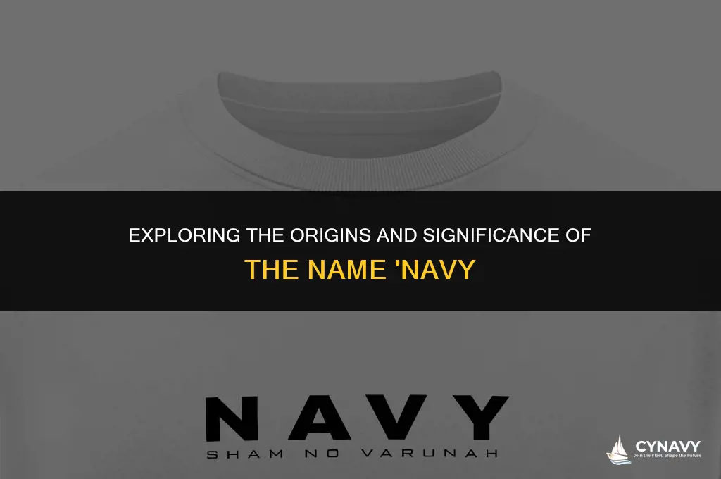what does the name navy mean