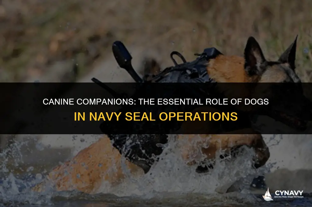 what dogs do navy seals use
