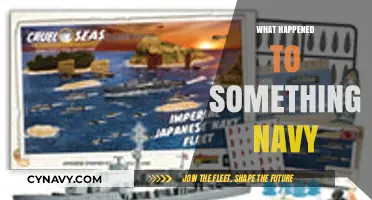 Unraveling the Mystery: What Happened to the Navy's Missing Fleet?