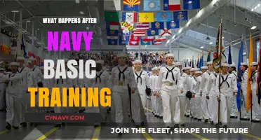 Life Beyond the Barracks: What Happens After Navy Basic Training