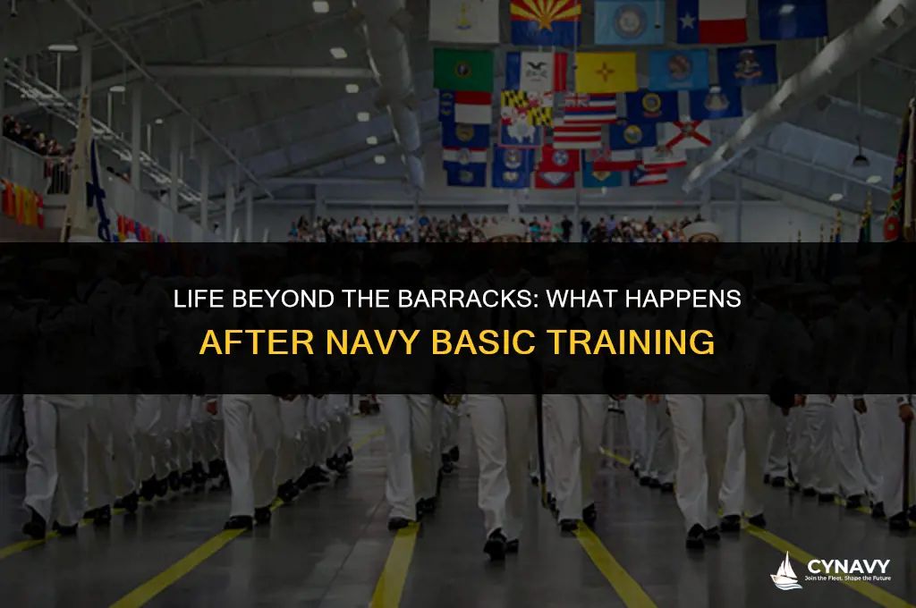 what happens after navy basic training