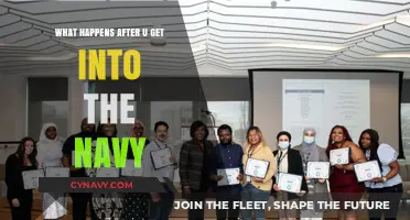 Life in the Navy: Training, Deployment, and Beyond Explained