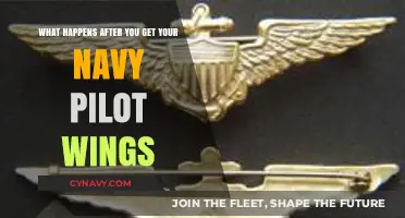 Earning Navy Pilot Wings: Next Steps and Career Pathways Explained