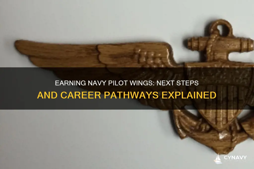 what happens after you get your navy pilot wings