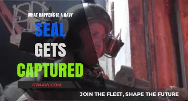Captured Navy SEALs: Survival, Protocol, and the Code of Silence