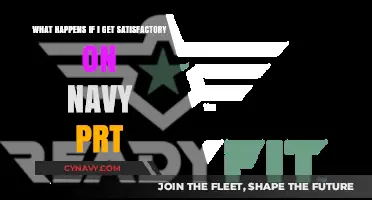 Satisfactory Navy PRT Results: Consequences and Next Steps Explained