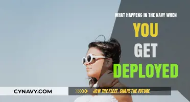 Life at Sea: Understanding Navy Deployment Experiences and Challenges