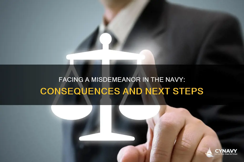 what if i get misdemeanor while in navy