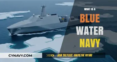 Understanding the Concept of a Blue Water Navy: A Comprehensive Guide