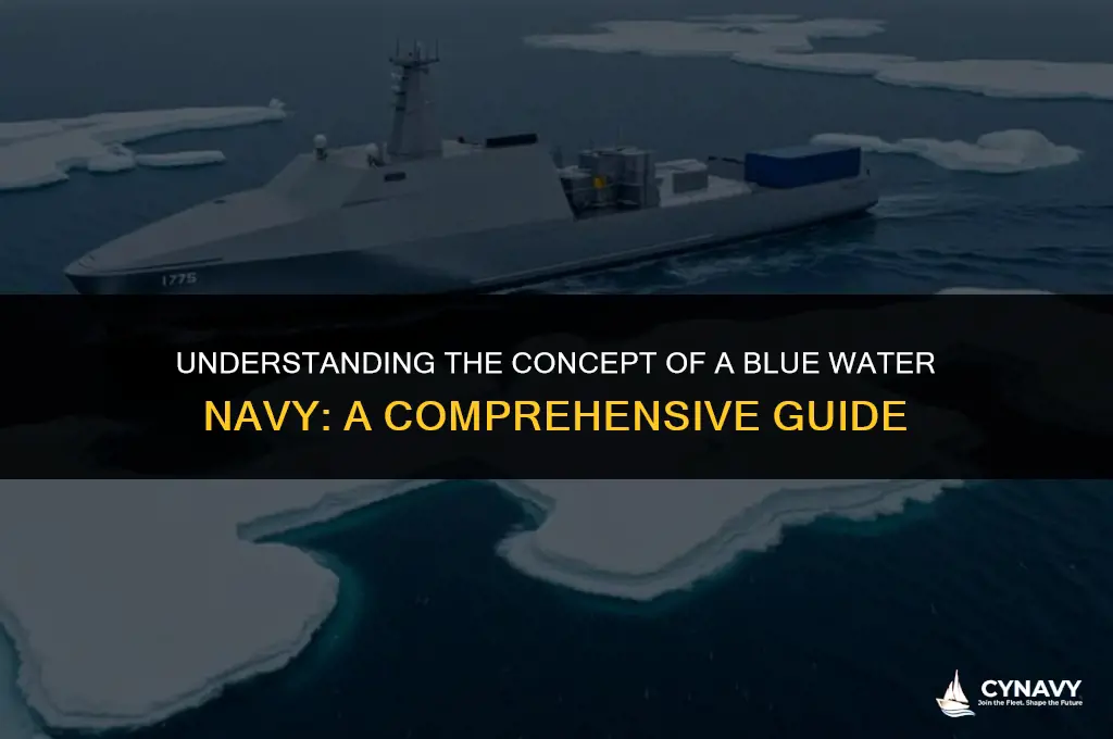 what is a blue water navy