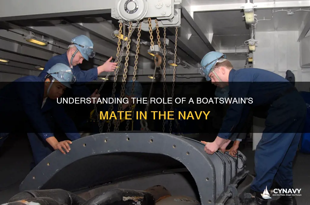 what is a boatswain