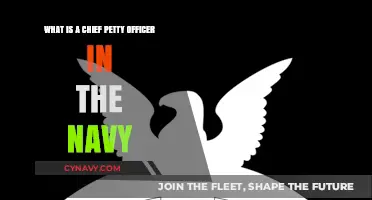 Understanding the Role of a Chief Petty Officer in the Navy