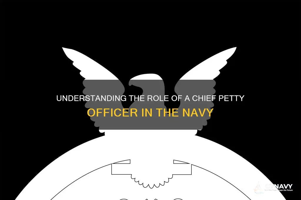 what is a chief petty officer in the navy