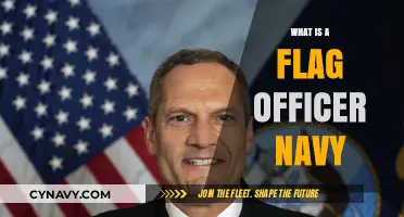 Understanding the Role of a Flag Officer in the Navy