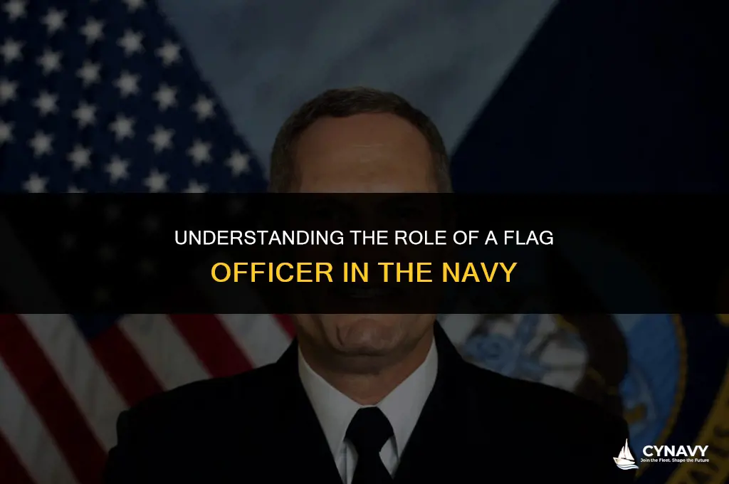 what is a flag officer navy