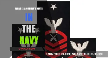 Understanding the Gunner's Mate Role in the U.S. Navy