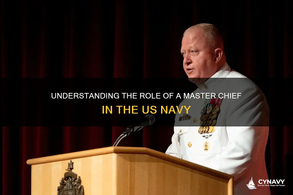 what is a master chief in the us navy