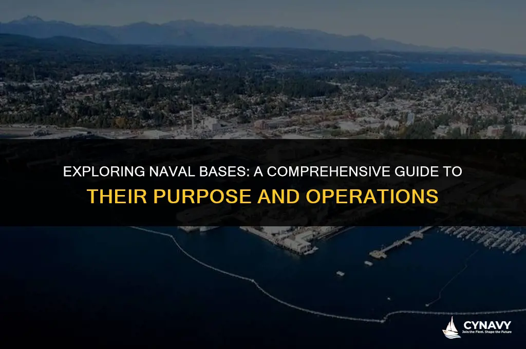 what is a navy base