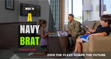Growing Up on the Move: Life as a Navy Brat