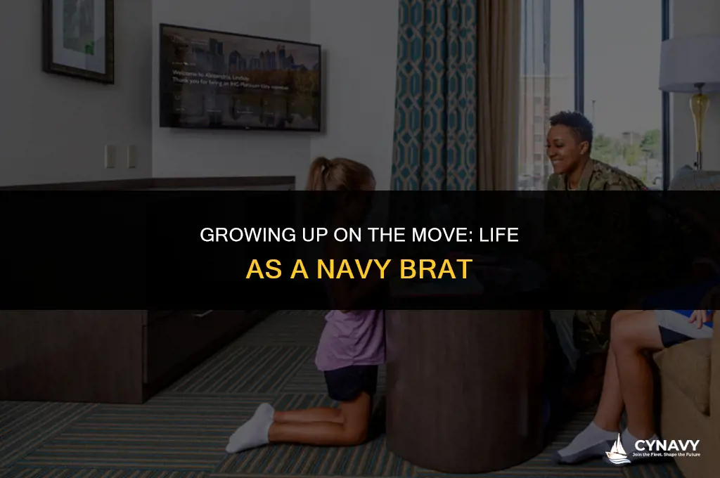 what is a navy brat