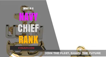 Understanding the Navy Chief Rank: A Comprehensive Guide
