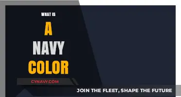 Exploring the Depths of Navy Blue: A Comprehensive Guide