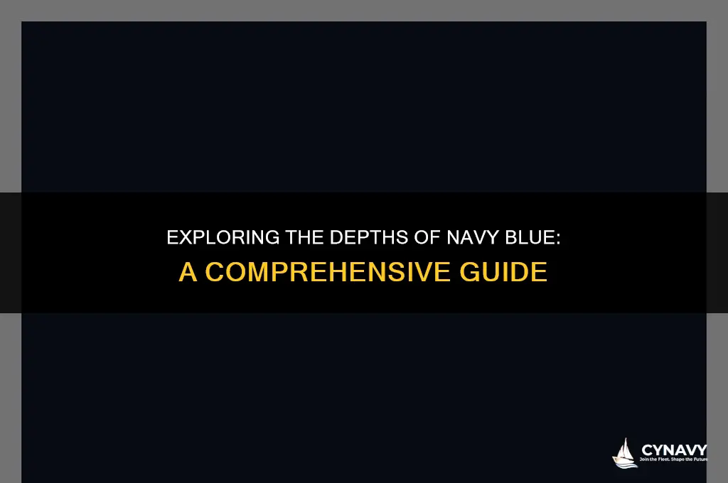 what is a navy color