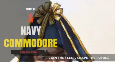 Exploring the Role and Responsibilities of a Navy Commodore