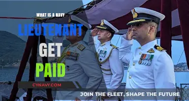 Navy Lieutenant Salary: Understanding Pay, Benefits, and Compensation Details