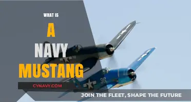 Exploring the Legacy and Power of the Navy Mustang Aircraft