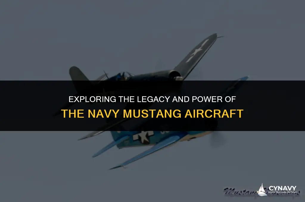 what is a navy mustang