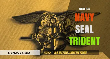 Unlocking the Symbolism: The Navy SEAL Trident Explained