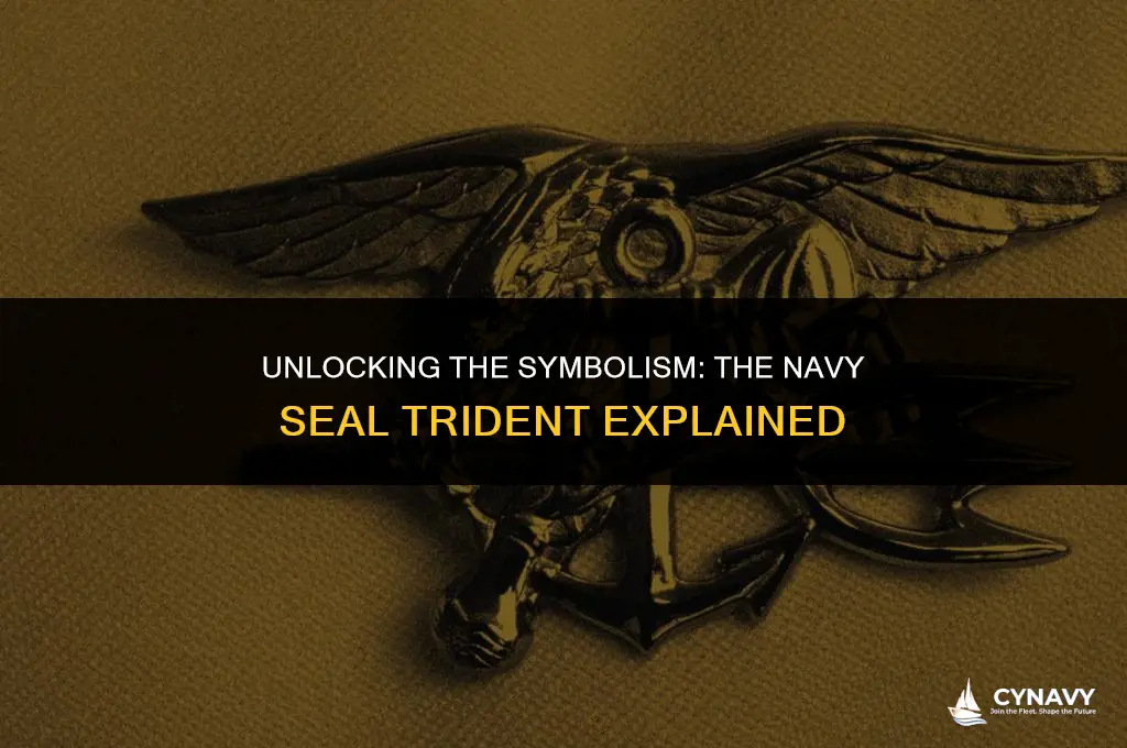 what is a navy seal trident