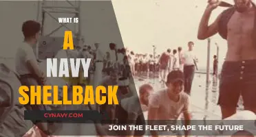 Unveiling the Secrets of the Navy Shellback: A Deep Dive