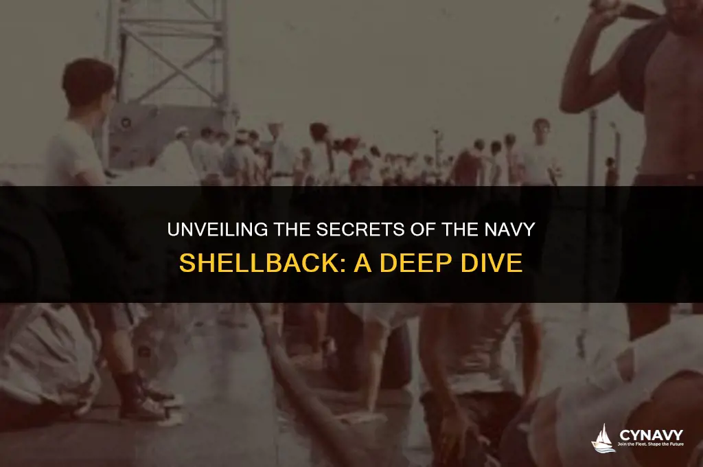 what is a navy shellback
