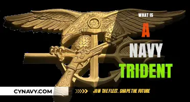 Exploring the Depths: The Navy Trident's Power and Purpose