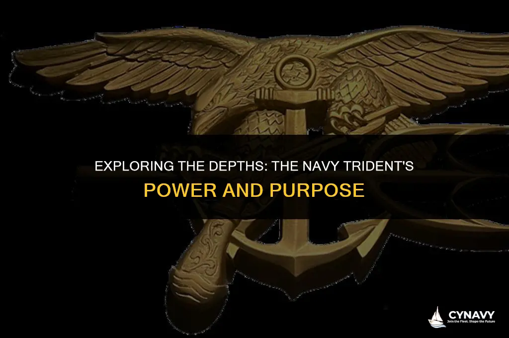 what is a navy trident