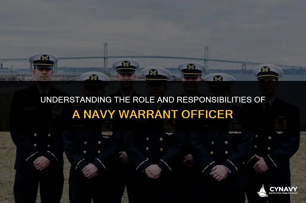 what is a navy warrant officer