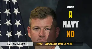 Decoding the Role of a Navy XO: Responsibilities and Insights