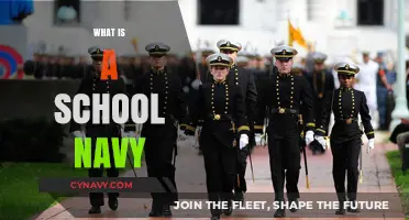 Exploring the Concept of a School Navy: Purpose and Functions