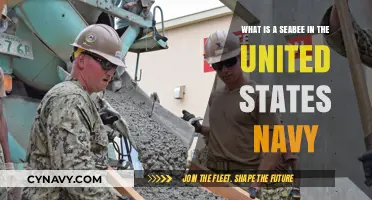 Understanding Seabees: The U.S. Navy's Construction Battalions Explained