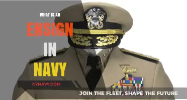Understanding the Role of an Ensign in the Navy