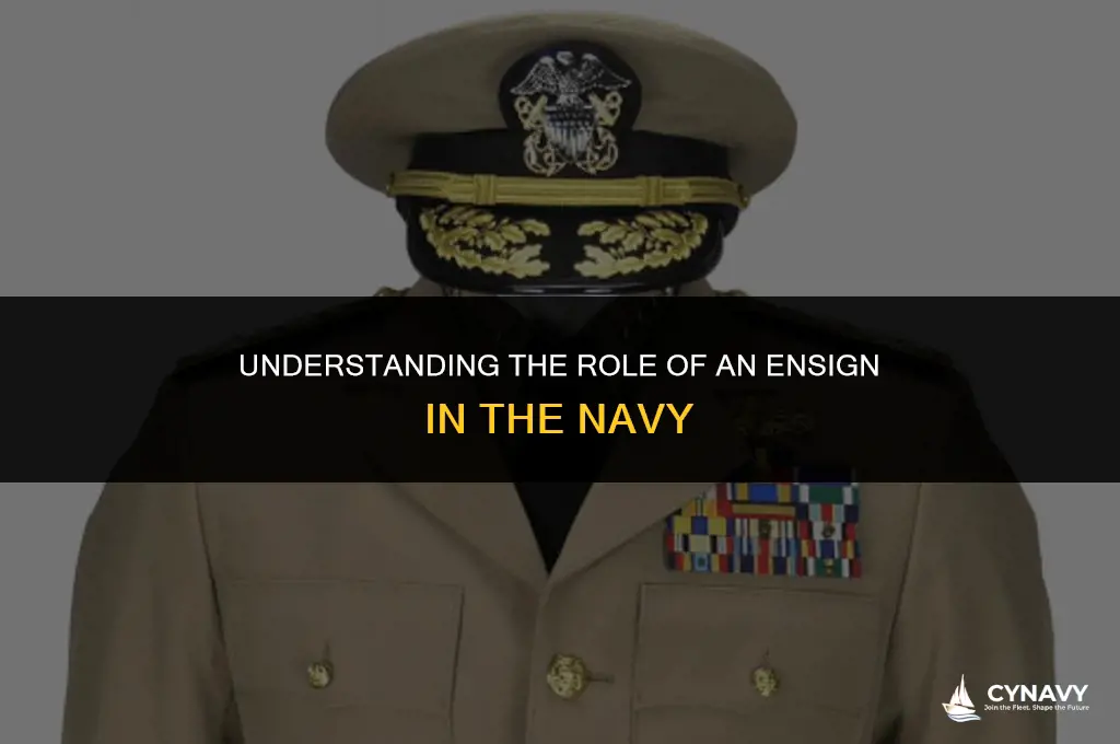 what is an ensign in navy