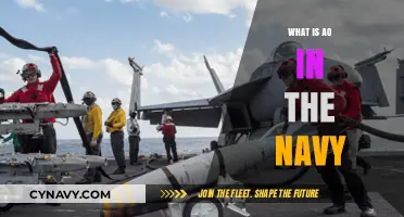 Understanding AO: A Vital Role in the Navy's Aviation Operations