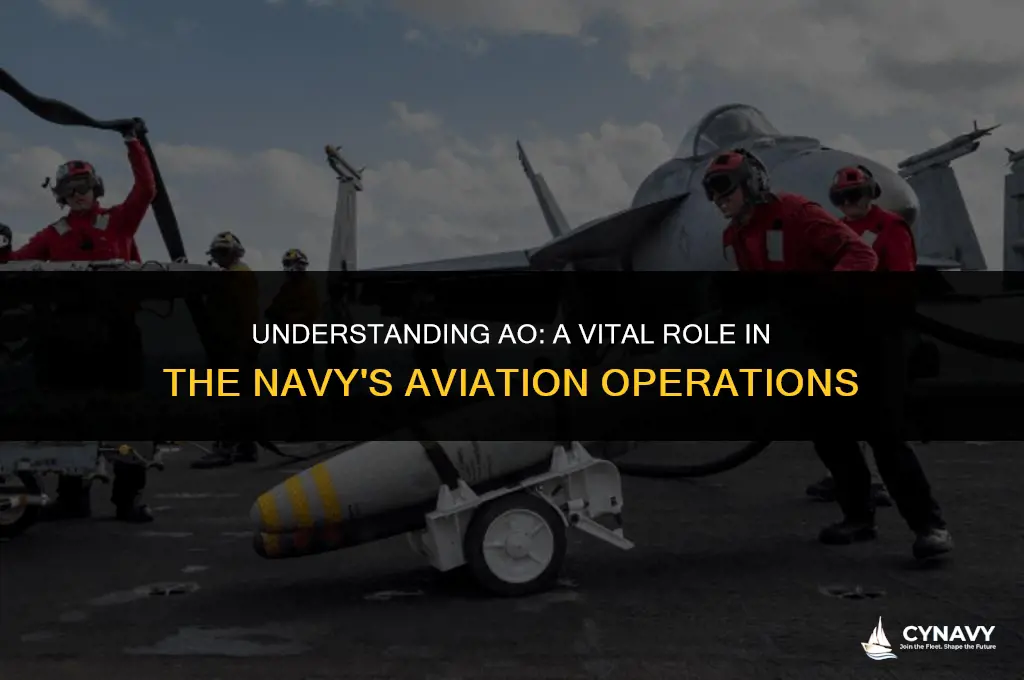 what is ao in the navy